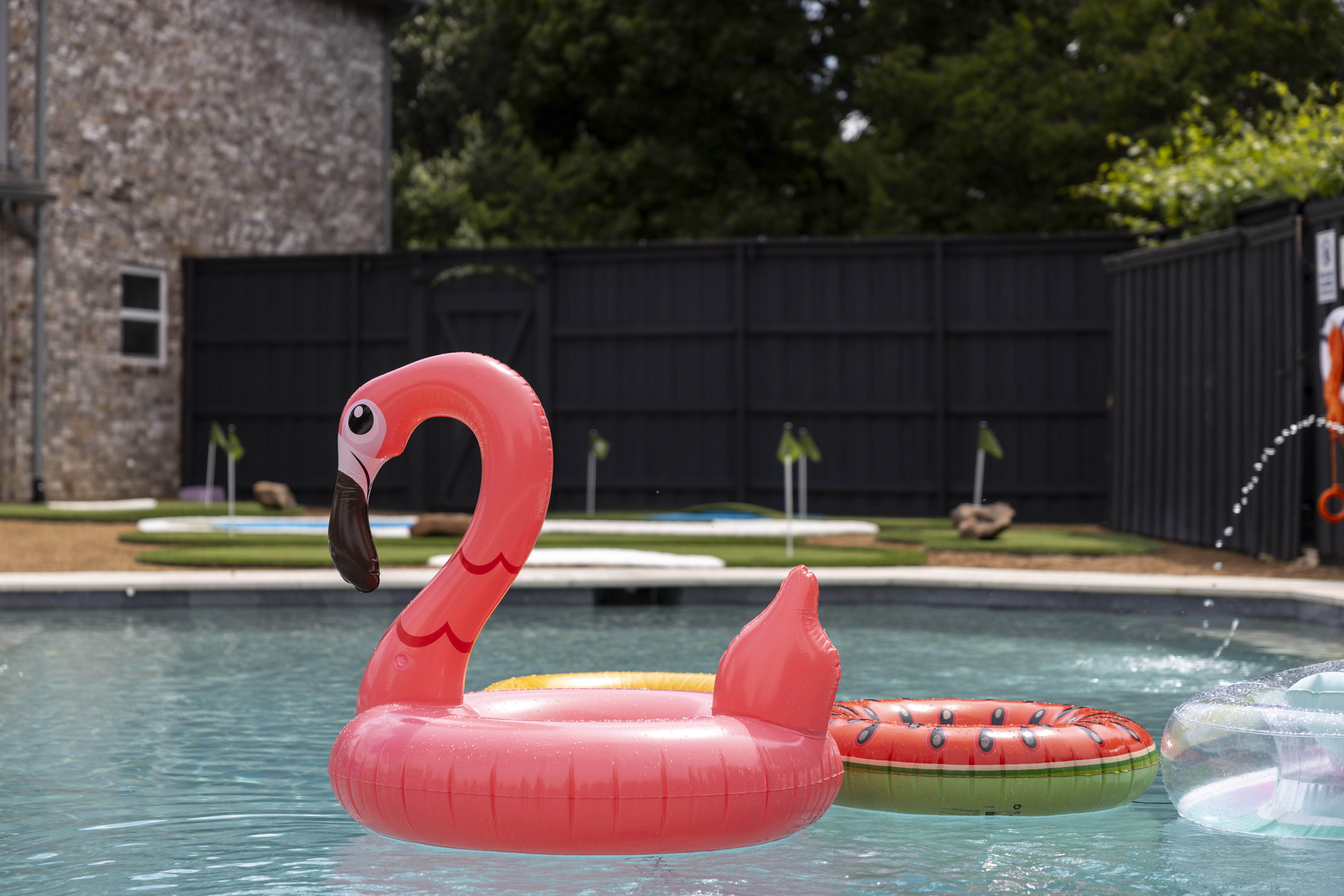 Backyard - Backyard Pool 6